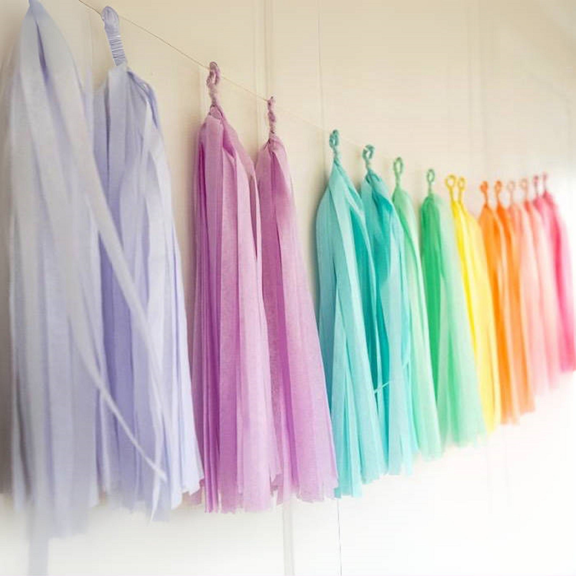 Pastel Rainbow Assembled Versatile and Reusable Tissue Paper Tassels Garland for Party Wedding Birthday Event Celebration Decor (16 Assembled tassels with string, already made and just ready to hang) - Originalsgroup