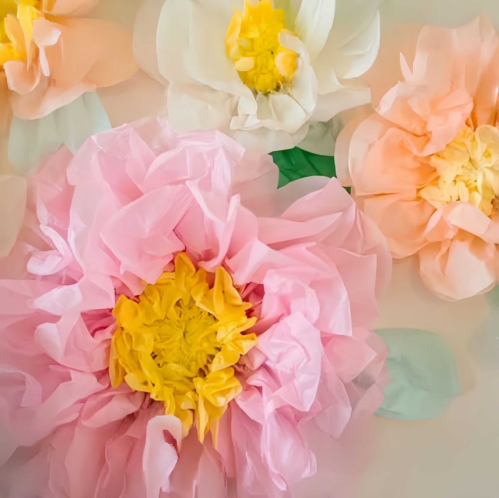 Colorful Fiesta Paper Flowers for Wall Fairy Birthday Decoration Carnival Party Backdrop Centerpiece Wedding Outdoor Spring Rainbow Pastel Classroom Photo Props Assorted Pom Poms - Originalsgroup