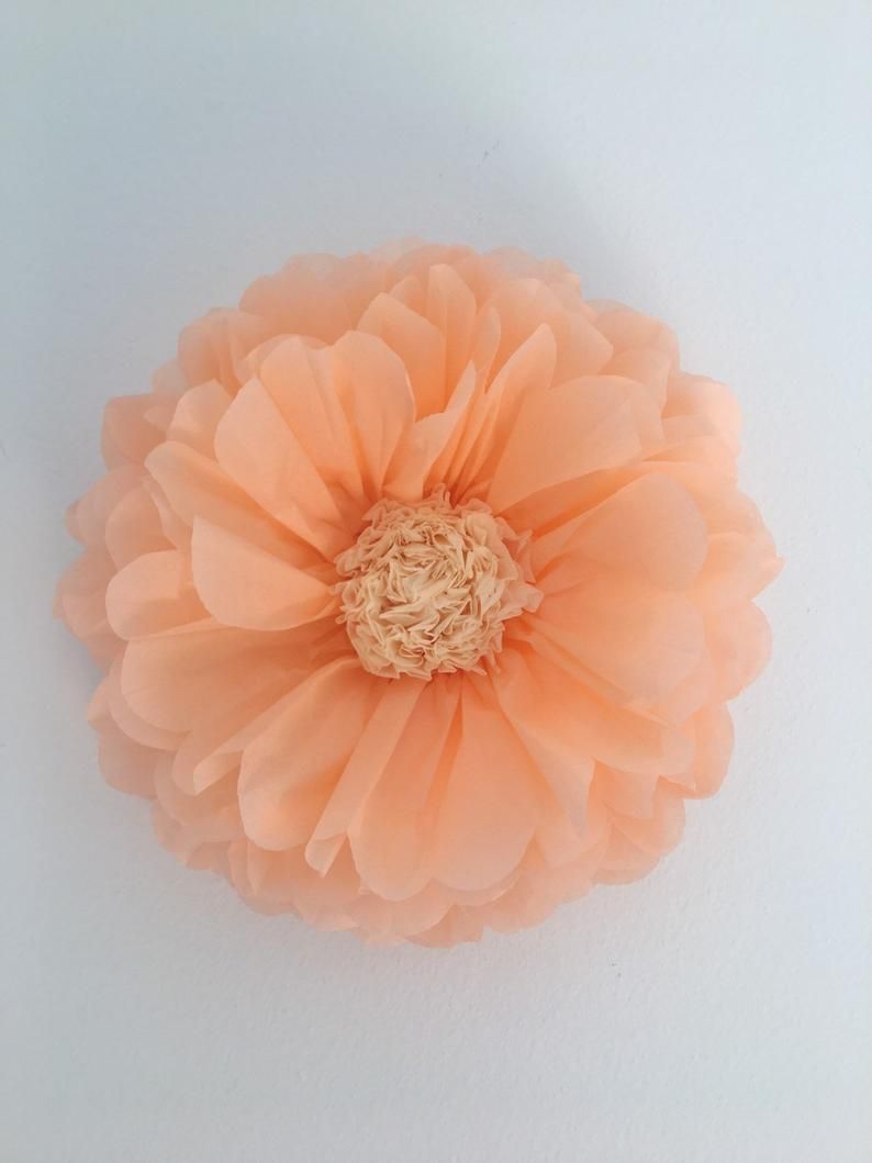Colorful Fiesta Paper Flowers for Wall Fairy Birthday Decoration Carnival Party Backdrop Centerpiece Wedding Outdoor Spring Rainbow Pastel Classroom Photo Props Assorted Pom Poms - Originalsgroup
