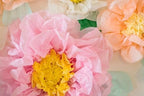 Colorful Fiesta Paper Flowers for Wall Fairy Birthday Decoration Carnival Party Backdrop Centerpiece Wedding Outdoor Spring Rainbow Pastel Classroom Photo Props Assorted Pom Poms - Originalsgroup