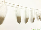 Gold feather garland for party wedings baby shower events decorations (White+Gold) - Originalsgroup