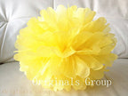 (16pcs) Rainbow Mixed Size Tissue Paper Pom Poms Lanterns Decorations - Originalsgroup
