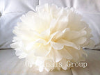 (12pcs) Peach White Mixed Size Tissue Paper Pom Poms Lanterns Decorations - Originalsgroup