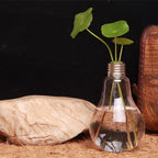 Home Decor Wedding Decoration Light Bulb Transparent Glass Vase Fashion Hydroponic Flower Vase Gifts Retro DIY - Originalsgroup