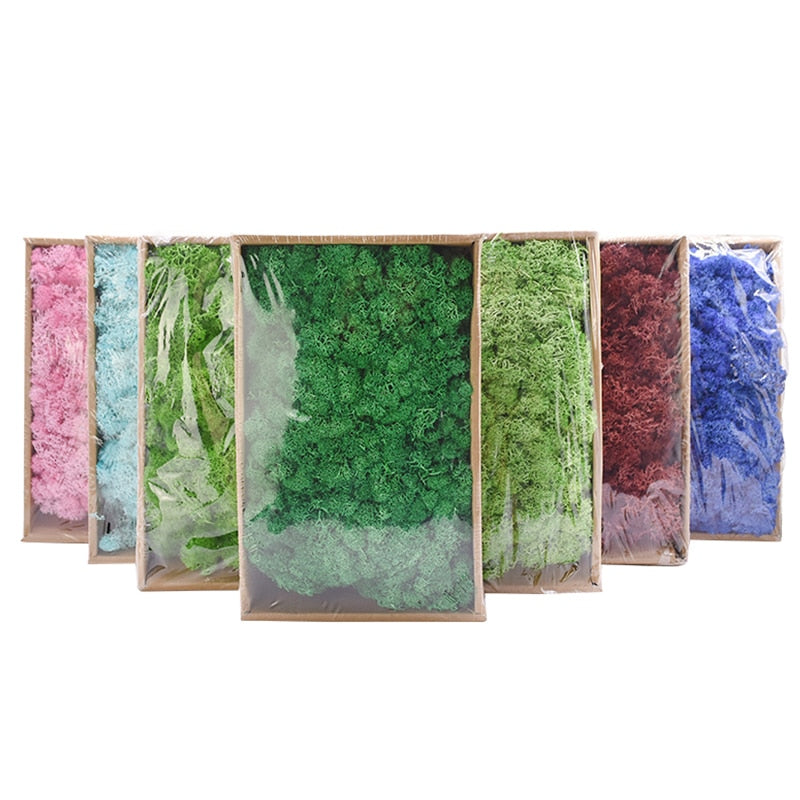 20/40g Artificial Green Plants Eternal Life Moss Grass Home Living Room Garden Decoration Mini Landscape Fake Flower DIY Crafts - Originalsgroup