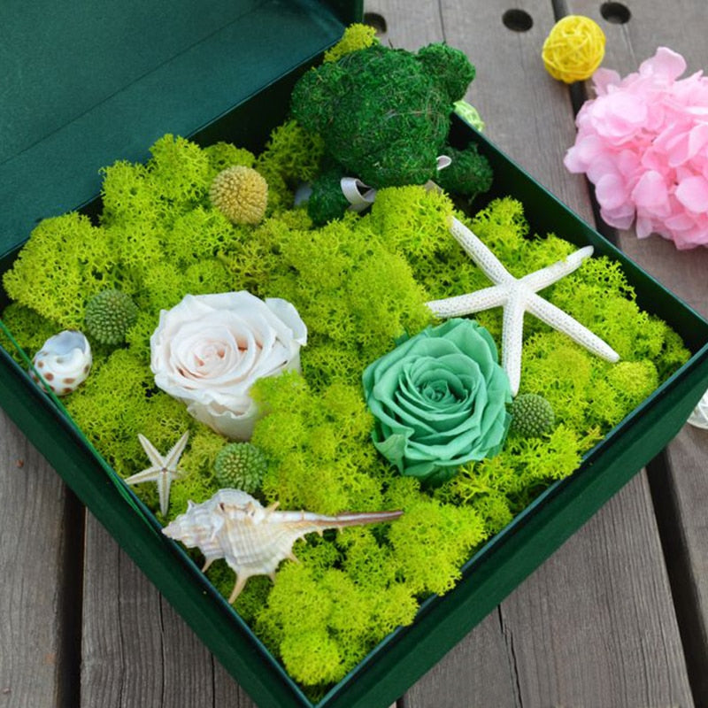 20/40g Artificial Green Plants Eternal Life Moss Grass Home Living Room Garden Decoration Mini Landscape Fake Flower DIY Crafts - Originalsgroup