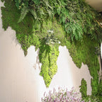 20/40g Artificial Green Plants Eternal Life Moss Grass Home Living Room Garden Decoration Mini Landscape Fake Flower DIY Crafts - Originalsgroup