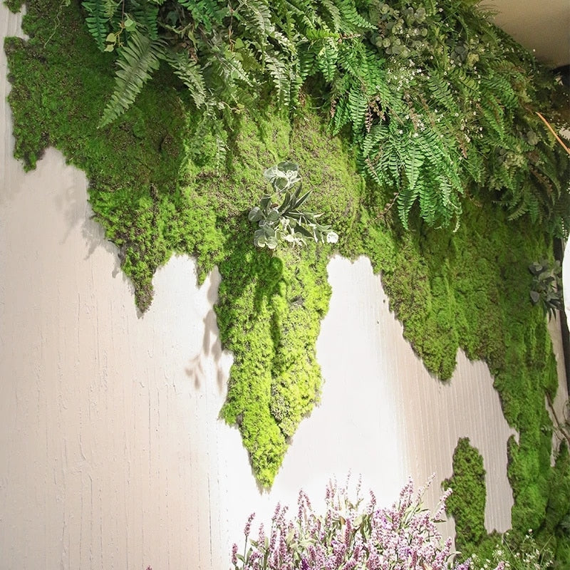 20/40g Artificial Green Plants Eternal Life Moss Grass Home Living Room Garden Decoration Mini Landscape Fake Flower DIY Crafts - Originalsgroup