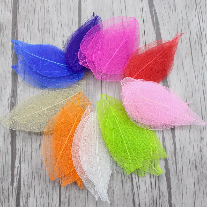 36pcs /Bag Multi-Color Artificial Skeleton Leaf Dry Leaves Scrapbooking Girl DIY Material by Originals Group - Originalsgroup