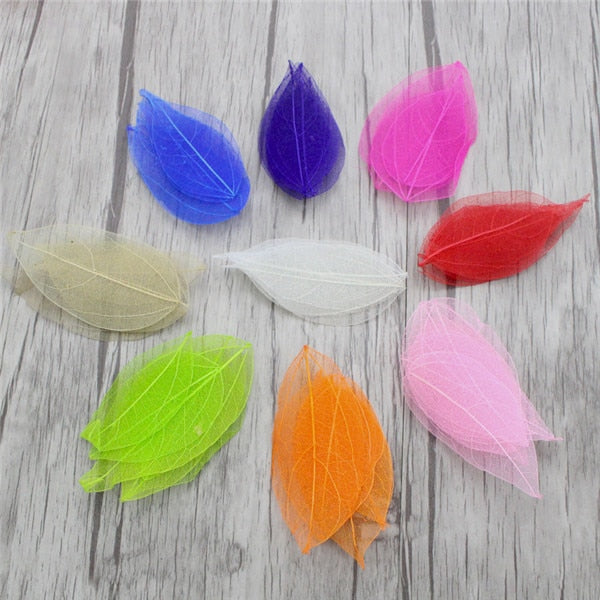 36pcs /Bag Multi-Color Artificial Skeleton Leaf Dry Leaves Scrapbooking Girl DIY Material by Originals Group - Originalsgroup