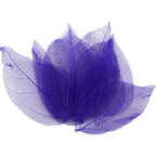 36pcs /Bag Multi-Color Artificial Skeleton Leaf Dry Leaves Scrapbooking Girl DIY Material by Originals Group - Originalsgroup