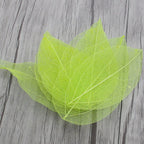 36pcs /Bag Multi-Color Artificial Skeleton Leaf Dry Leaves Scrapbooking Girl DIY Material by Originals Group - Originalsgroup