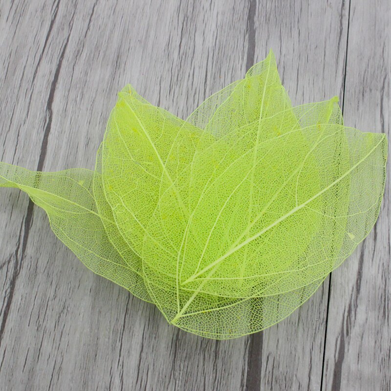 36pcs /Bag Multi-Color Artificial Skeleton Leaf Dry Leaves Scrapbooking Girl DIY Material by Originals Group - Originalsgroup