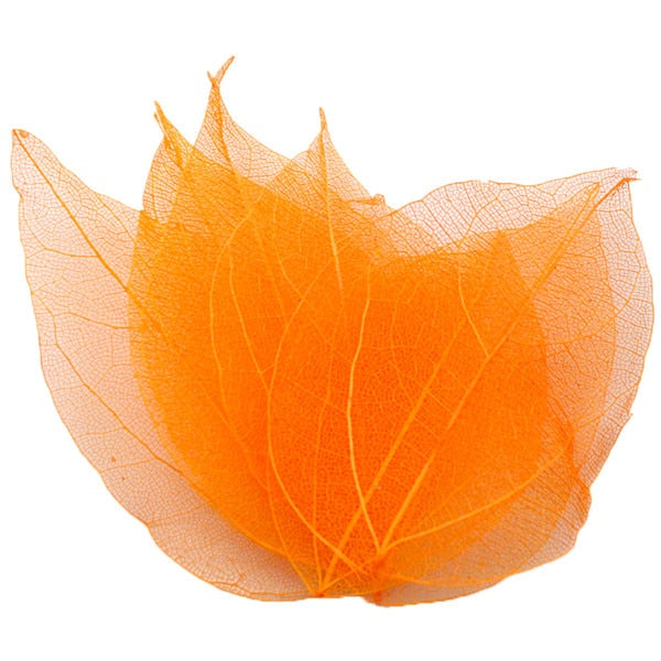 36pcs /Bag Multi-Color Artificial Skeleton Leaf Dry Leaves Scrapbooking Girl DIY Material by Originals Group - Originalsgroup