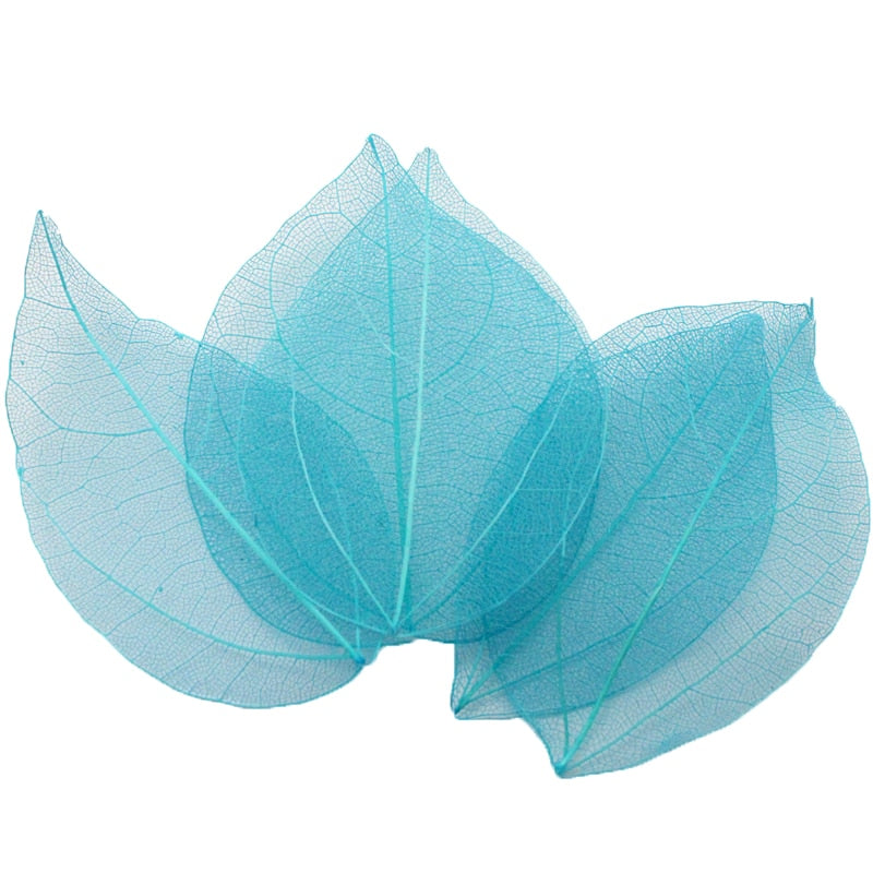 36pcs /Bag Multi-Color Artificial Skeleton Leaf Dry Leaves Scrapbooking Girl DIY Material by Originals Group - Originalsgroup