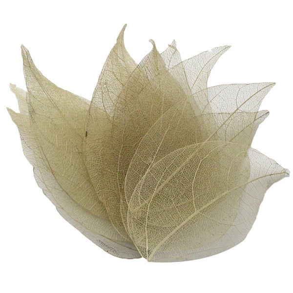 36pcs /Bag Multi-Color Artificial Skeleton Leaf Dry Leaves Scrapbooking Girl DIY Material by Originals Group - Originalsgroup