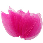 36pcs /Bag Multi-Color Artificial Skeleton Leaf Dry Leaves Scrapbooking Girl DIY Material by Originals Group - Originalsgroup