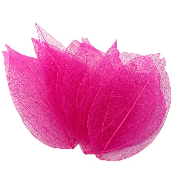 36pcs /Bag Multi-Color Artificial Skeleton Leaf Dry Leaves Scrapbooking Girl DIY Material by Originals Group - Originalsgroup