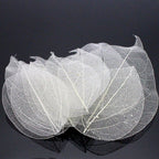 36pcs /Bag Multi-Color Artificial Skeleton Leaf Dry Leaves Scrapbooking Girl DIY Material by Originals Group - Originalsgroup