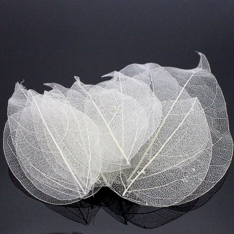 36pcs /Bag Multi-Color Artificial Skeleton Leaf Dry Leaves Scrapbooking Girl DIY Material by Originals Group - Originalsgroup