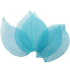 36pcs /Bag Multi-Color Artificial Skeleton Leaf Dry Leaves Scrapbooking Girl DIY Material by Originals Group - Originalsgroup