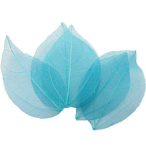 36pcs /Bag Multi-Color Artificial Skeleton Leaf Dry Leaves Scrapbooking Girl DIY Material by Originals Group - Originalsgroup