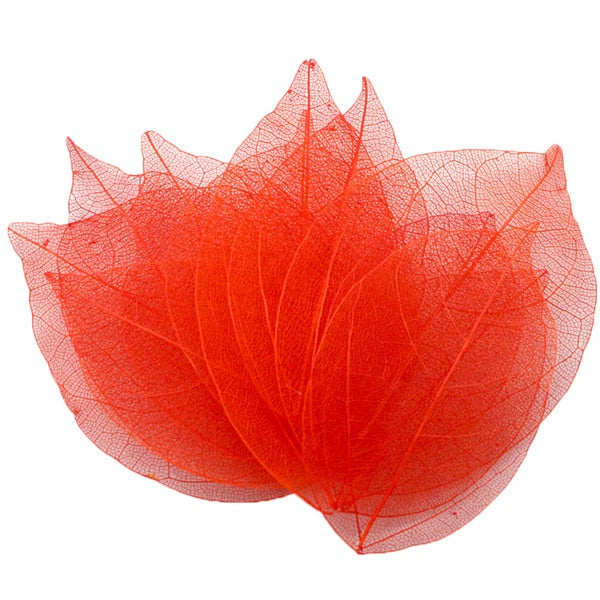 36pcs /Bag Multi-Color Artificial Skeleton Leaf Dry Leaves Scrapbooking Girl DIY Material by Originals Group - Originalsgroup