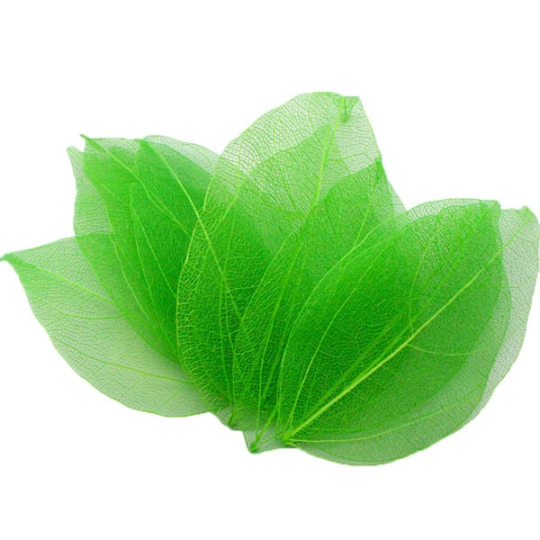 36pcs /Bag Multi-Color Artificial Skeleton Leaf Dry Leaves Scrapbooking Girl DIY Material by Originals Group - Originalsgroup