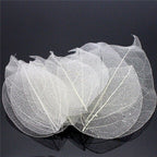 36pcs /Bag Multi-Color Artificial Skeleton Leaf Dry Leaves Scrapbooking Girl DIY Material by Originals Group - Originalsgroup