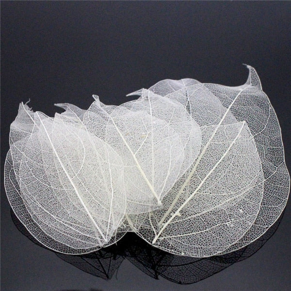 36pcs /Bag Multi-Color Artificial Skeleton Leaf Dry Leaves Scrapbooking Girl DIY Material by Originals Group - Originalsgroup
