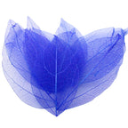 36pcs /Bag Multi-Color Artificial Skeleton Leaf Dry Leaves Scrapbooking Girl DIY Material by Originals Group - Originalsgroup