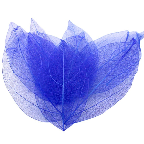 36pcs /Bag Multi-Color Artificial Skeleton Leaf Dry Leaves Scrapbooking Girl DIY Material by Originals Group - Originalsgroup