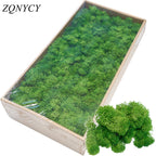 20/40g Artificial Green Plants Eternal Life Moss Grass Home Living Room Garden Decoration Mini Landscape Fake Flower DIY Crafts - Originalsgroup