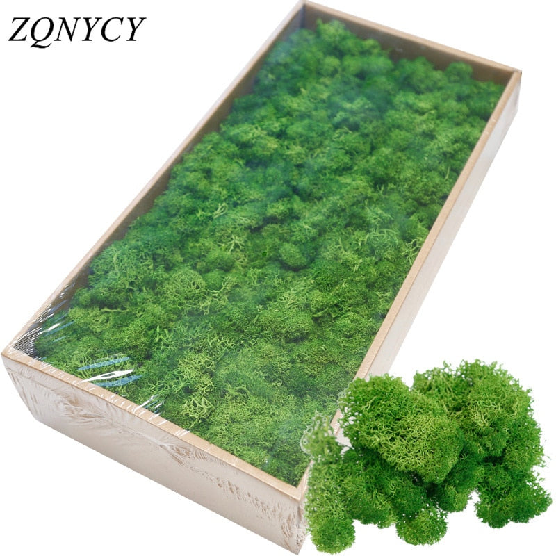 20/40g Artificial Green Plants Eternal Life Moss Grass Home Living Room Garden Decoration Mini Landscape Fake Flower DIY Crafts - Originalsgroup