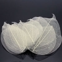 36pcs /Bag Multi-Color Artificial Skeleton Leaf Dry Leaves Scrapbooking Girl DIY Material by Originals Group - Originalsgroup