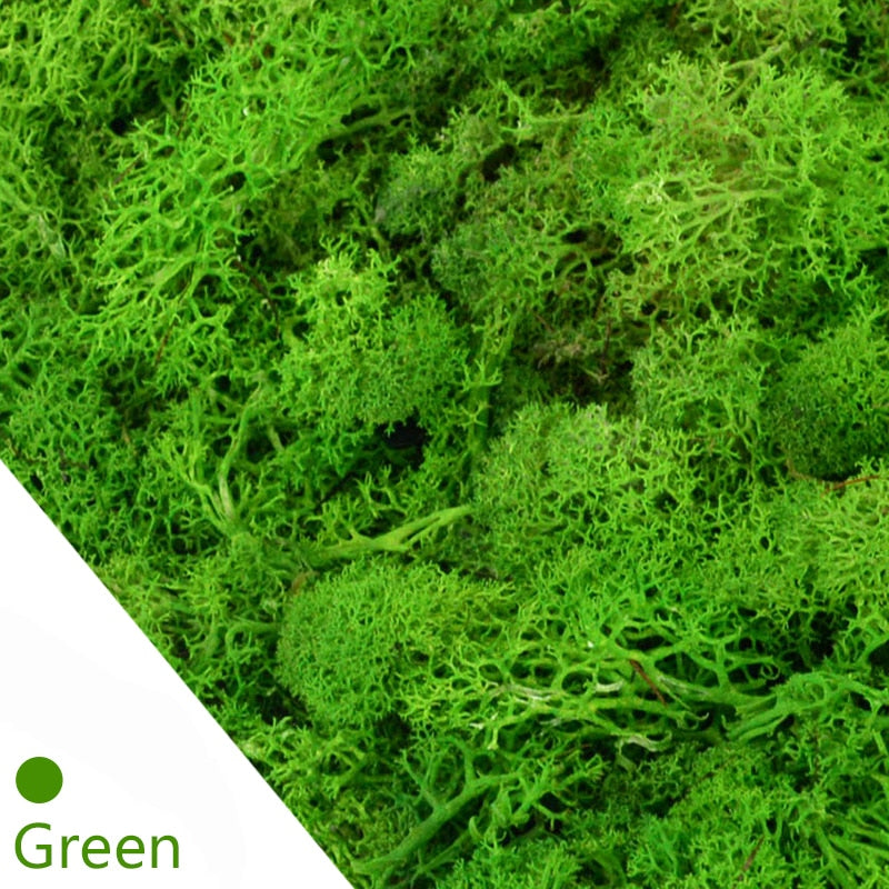 20/40g Artificial Green Plants Eternal Life Moss Grass Home Living Room Garden Decoration Mini Landscape Fake Flower DIY Crafts - Originalsgroup