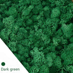 20/40g Artificial Green Plants Eternal Life Moss Grass Home Living Room Garden Decoration Mini Landscape Fake Flower DIY Crafts - Originalsgroup