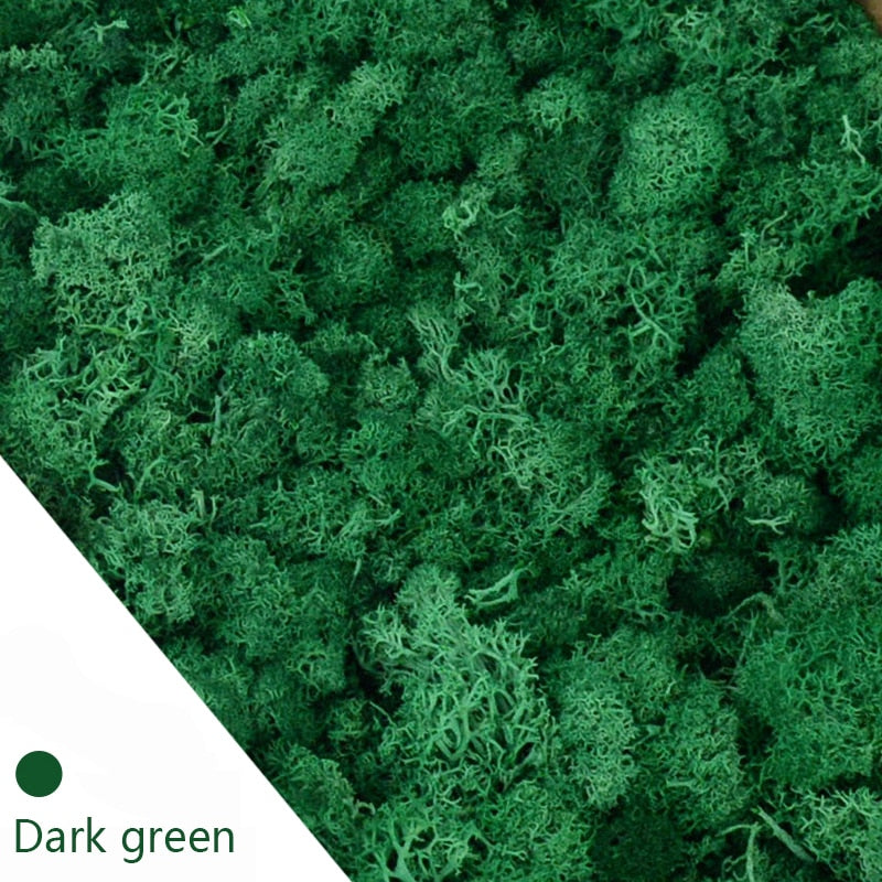 20/40g Artificial Green Plants Eternal Life Moss Grass Home Living Room Garden Decoration Mini Landscape Fake Flower DIY Crafts - Originalsgroup