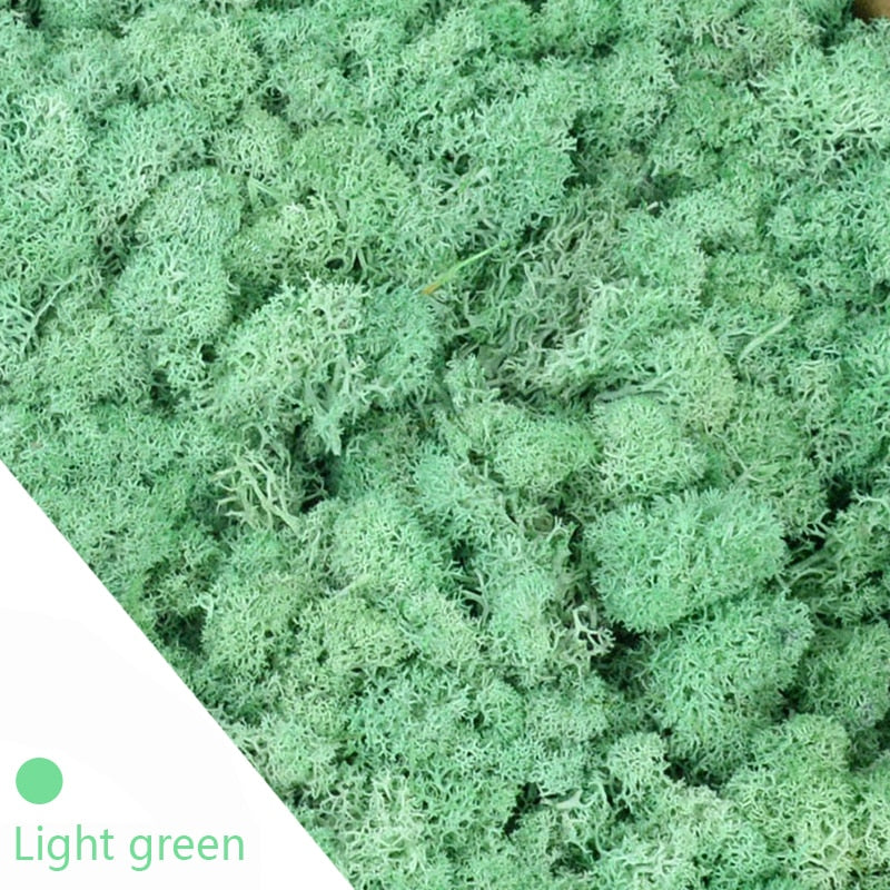 20/40g Artificial Green Plants Eternal Life Moss Grass Home Living Room Garden Decoration Mini Landscape Fake Flower DIY Crafts - Originalsgroup