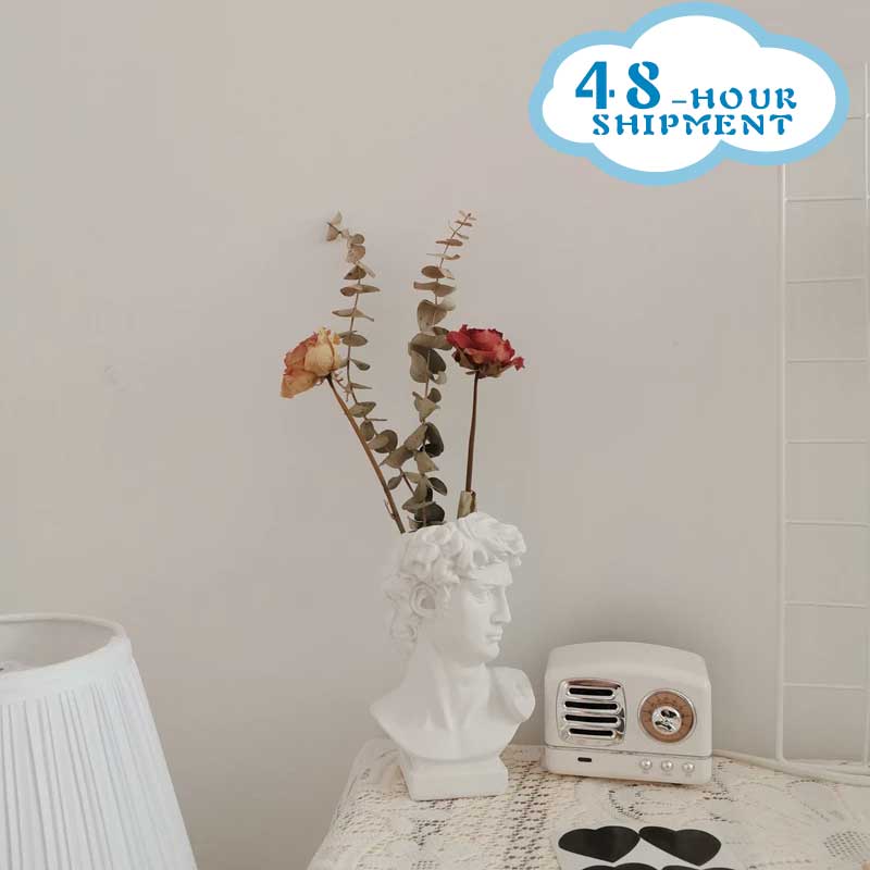 W&amp;G Nordic Vase Home Decor Vase Creative Human Head Portrait Flower Vases Room Decoration Resin David Flower Vase Room Decor - Originalsgroup