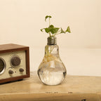 Home Decor Wedding Decoration Light Bulb Transparent Glass Vase Fashion Hydroponic Flower Vase Gifts Retro DIY - Originalsgroup